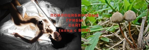 гидропоника Каменка