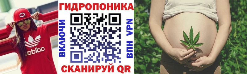 наркошоп  Нижняя Салда  Канабис конопля 
